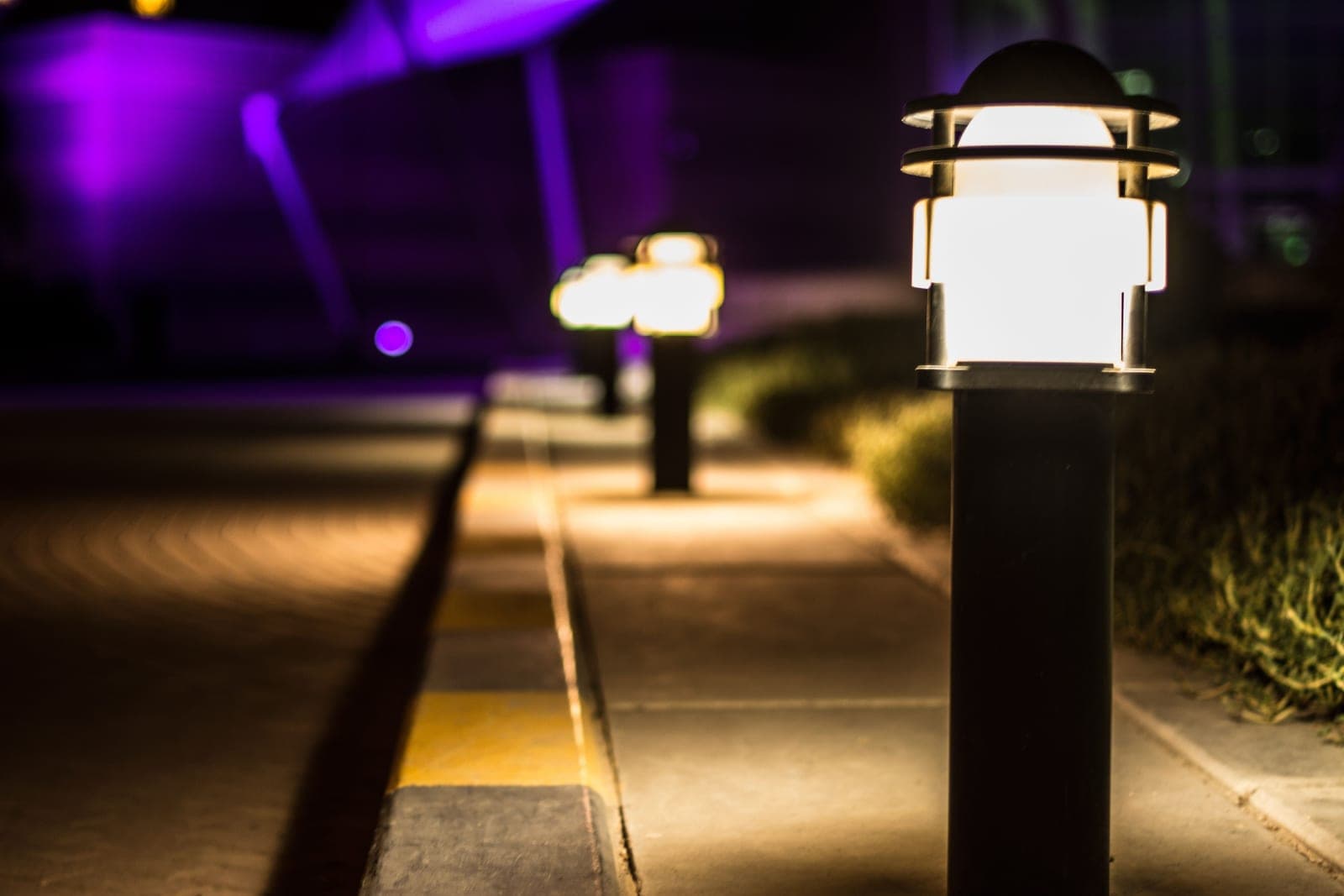 Solar lights glowing along a garden at dusk