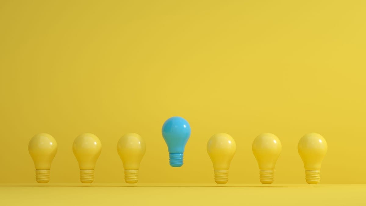 LED bulbs of several different shapes side by side