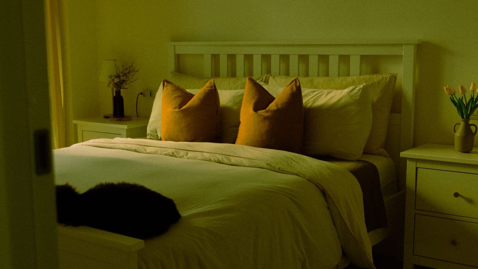 A tunable white bulb shifting from cool to warm light