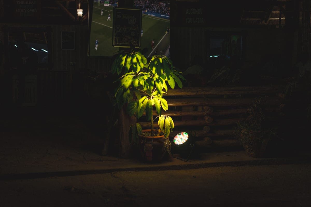 A floor lamp lighting a dim corner of a living room